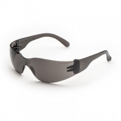 Oculos B?sicos Fumados
